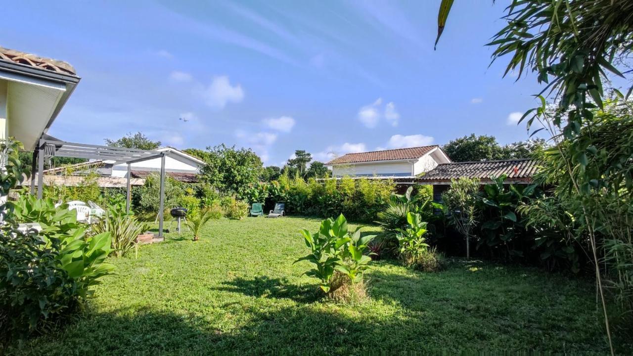 Maison Bassin D'Arcachon Gujan-Mestras Eksteriør billede